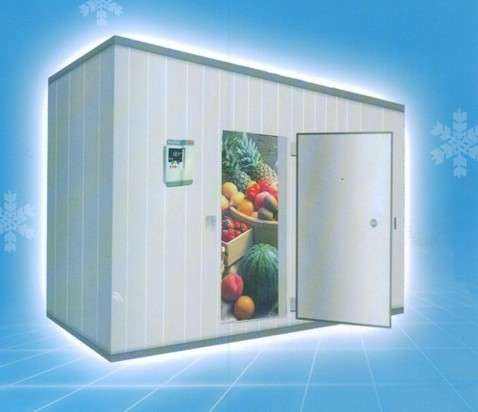 How much does it cost to build a 10 ton vegetable cold storage?