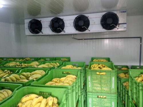 15ton banana repening chamber