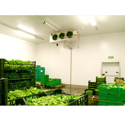 Vegetable cold storage