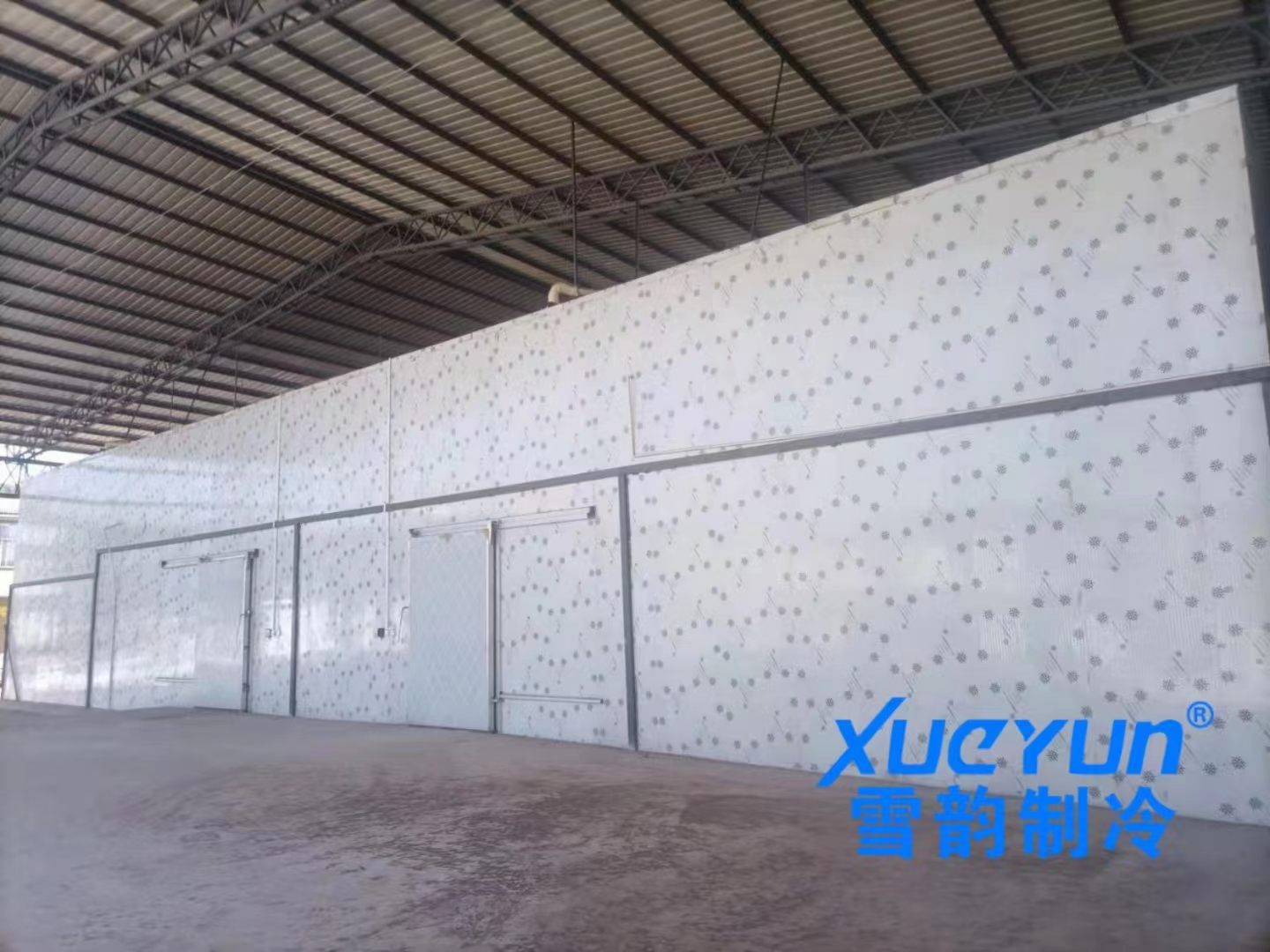 Meat Beef Cold Freezer Room Agricultural cold storage.