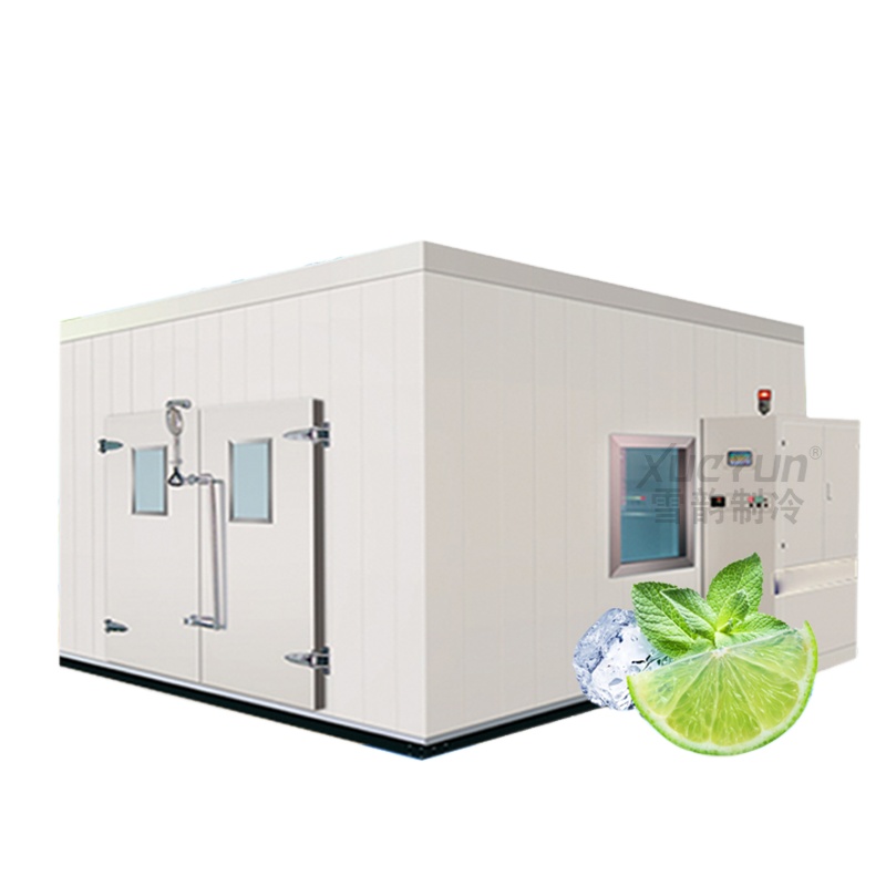 Controlled Atmosphere cold storage fruit and veg cold room design custom.
