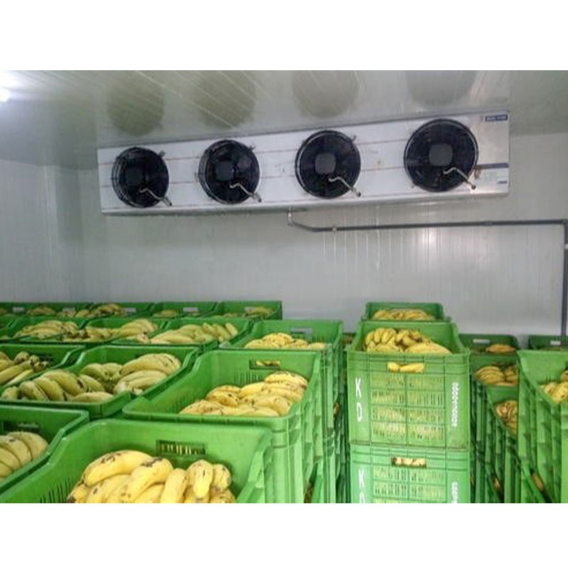 Air cooled storage for fruits and vegetables(图1)